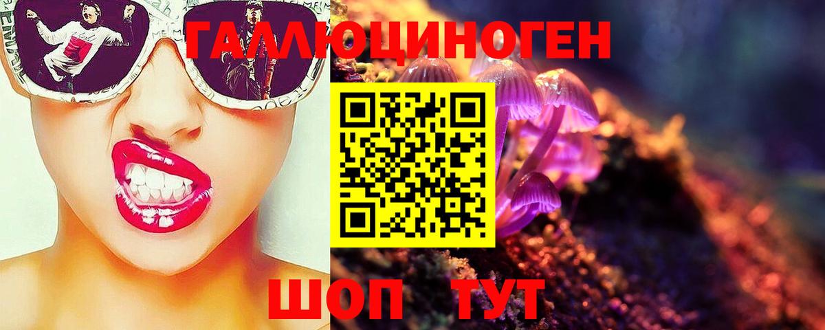 Псилоцибиновые грибы Magic Shrooms  Вход с VPN  где купить   Галлюциногенные грибы Cubensis  Камышин 