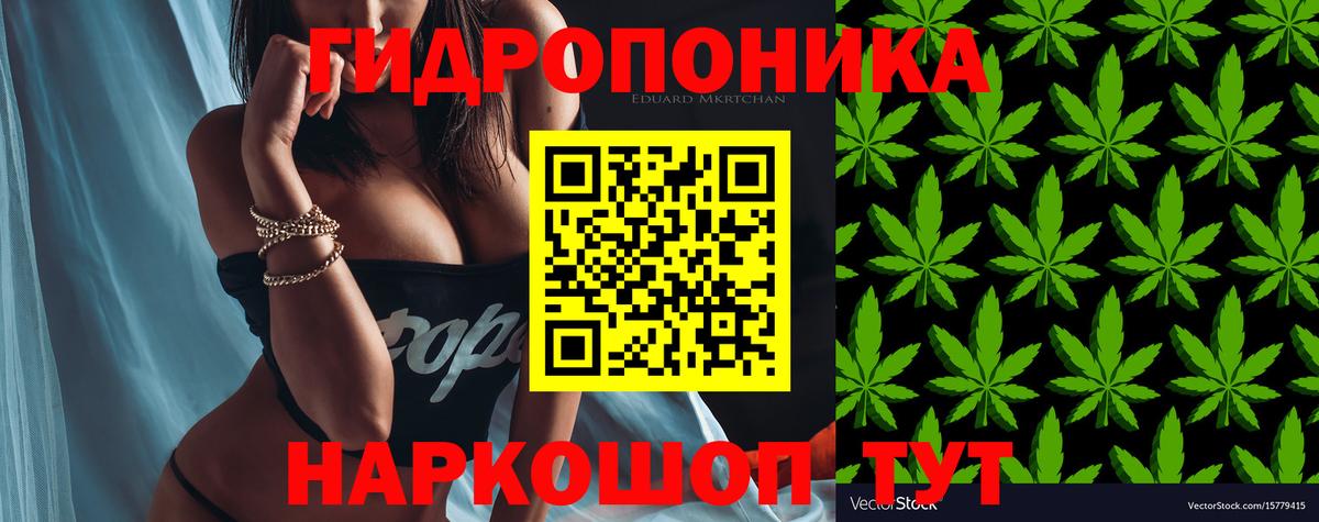 Бошки Шишки THC 21%  Вход с VPN  Шишки марихуана сатива  Камышин  Бошки марихуана гибрид 